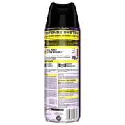 Raid Flea Killer Carpet & Room Spray with 4 Month Flea & Tick Control, 16 oz