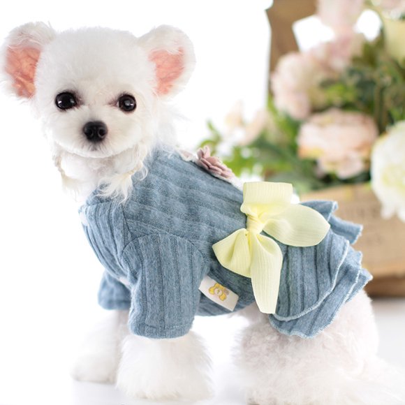 Vestido de punto para perro, suéter de punto para perro, suéter cálido de otoño/invierno para perro, suéter lindo para perro, ropa para mascotas de otoño e invierno, ropa para perros pequeños, falda p