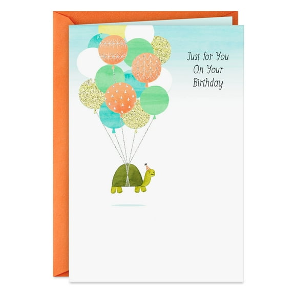 Hallmark Trtl Wbllons Birthday Card