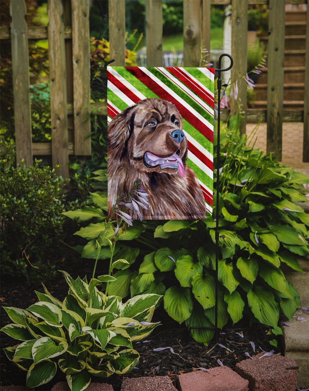 Carolines Treasures LH9219-FLAG-PARENT Newfoundland Candy Cane Holiday Christmas  Flag  multicolor