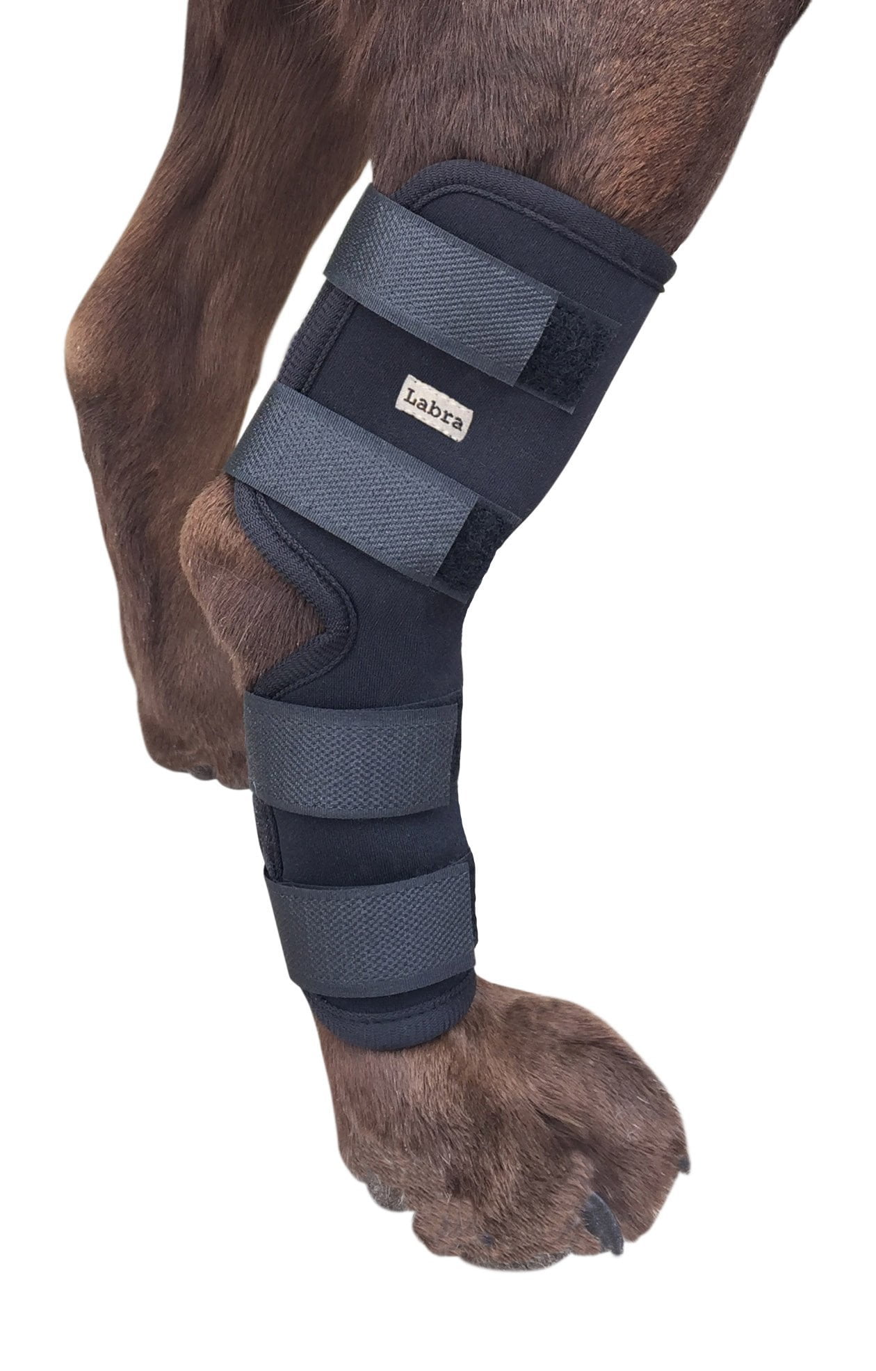 Labra Extra Supportive Dog Canine Rear Leg Hock Joint Wrap Protects labra-extra-supportive-dog-canine-rear-leg-hock-joint-wrap-protects