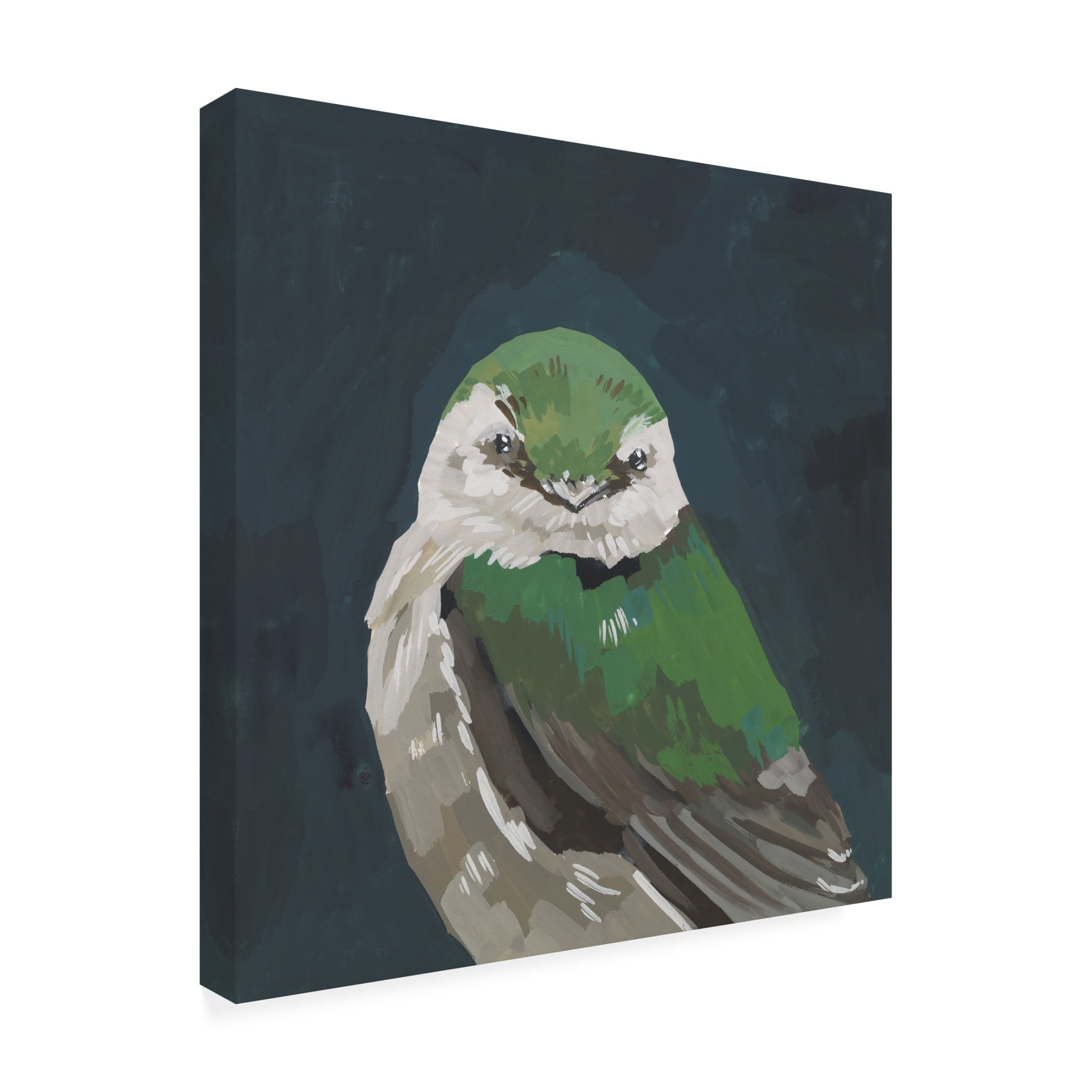 Canvas Wall Art - Melissa Wang 'Vivid Bird III' Wall Art for Living Room, Bedroom, or Office Décor by Trademark Fine Art - 14 x 14 Inches