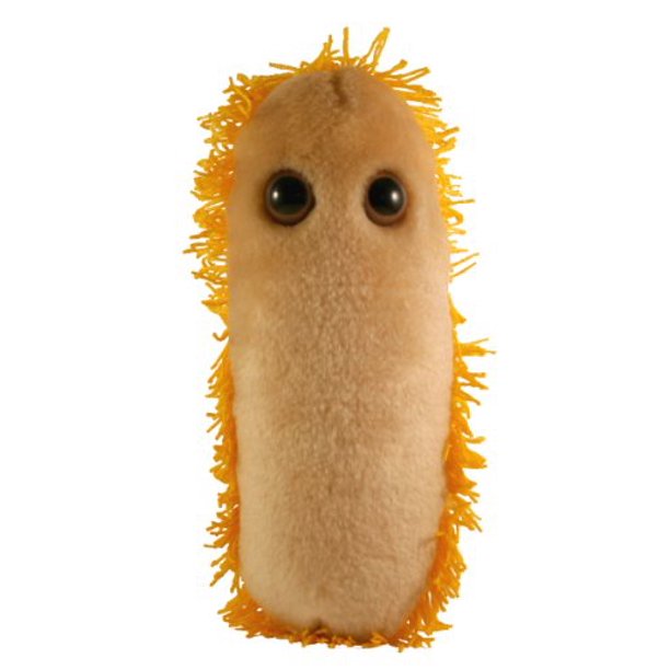 GIANT MICROBES Stomach Ache (Shigella) Plush Toy