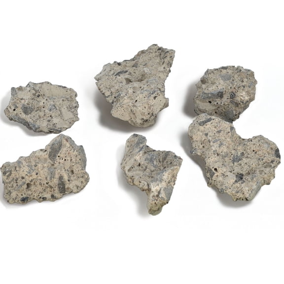 Eisco - 6 Count Raw Concrete Mineral Specimens Approx. 1-3 Inches - Hand-Processed by Geologist - for Geology Classrooms and Identification Exercises