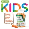 thumbnail image 7 of VITEEY Kids Zinc Gummies 10mg with Vitamin C and Echinacea, Kids Immune Support, Orange Flavor, 120 Ct, 7 of 7