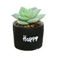 thumbnail image 1 of Aesthetic Simulation Bonsai UV-resistant Vivid Table Centerpiece Fake Succulent Plant Home Decor, 1 of 8