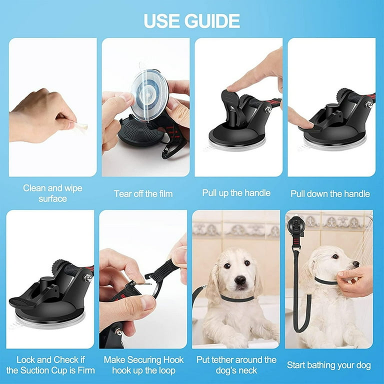 Off the leash animal grooming 2025