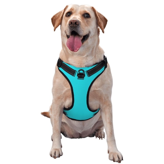 Balery Aqua Arnés para Perros Grandes Antitirones, Arnés con Correa para Gato, Arnés Tipo Chaleco para Perros Pequeños-Large