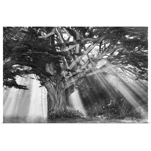 Great BIG Canvas | "Moses Tree B" Art Print - 24x16