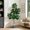 With Black Planter, variant on 7 ft Fiddle Leaf Fig Tree Artificial with 141 Leaves - Realistic Faux Ficus Lyrata Trees in 9 in White Planter Pot, Indoor Fake Floor Plants for Home Office Living Room Decor, Housewarming Gift