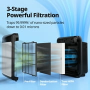 Coway Air Purifier Airmega 200M True HEPA with 361 sq. ft. Coverage in Black