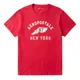thumbnail image 1 of Playera Bordada Aeropostale Hombre 100% Original, 1 of 2