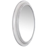 Infinity Instruments Sonore Aged White Oval Transitional 30-inch Wall Mirror