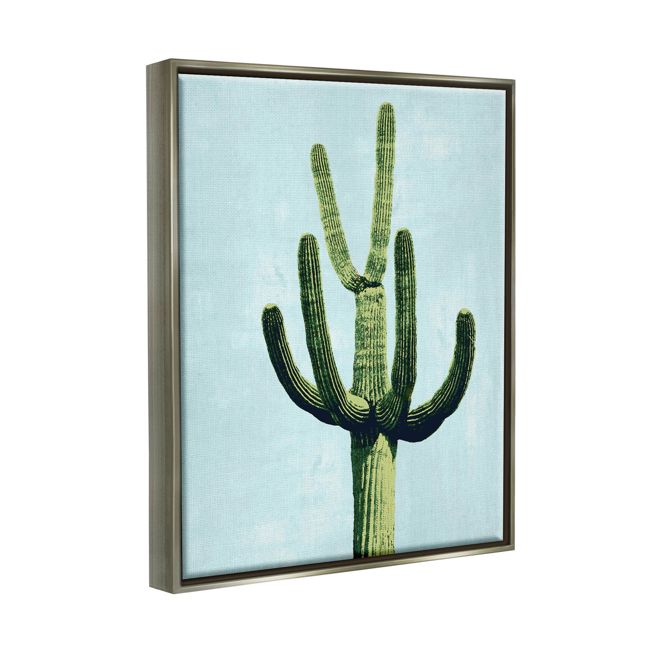 Cactus Plant Arid Vegetation Botanical & Floral Graphic Art Luster Gray Framed Art Print Wall Art