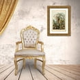 thumbnail image 3 of Haeckel, Ernst 13x18 Gold Ornate Wood Framed with Double Matting Museum Art Print Titled - Haeckel Nature Illustrations: Ferns, 3 of 4