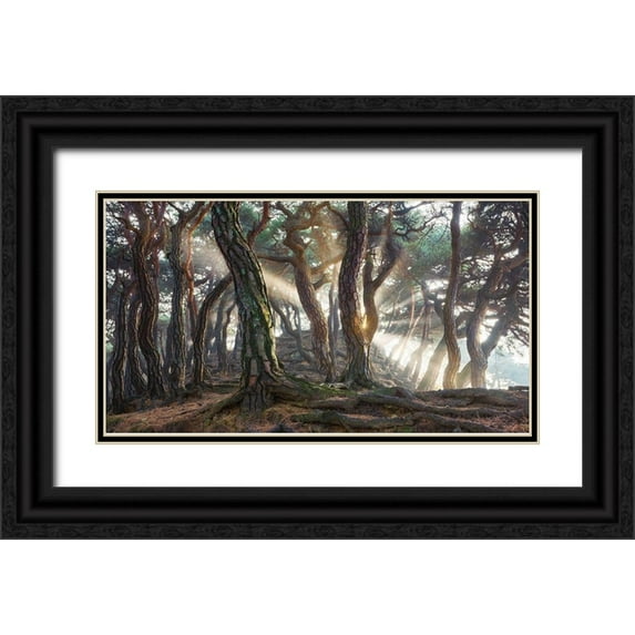 Ryu, Jaeyoun 32x19 Black Ornate Wood Framed with Double Matting Museum Art Print Titled - Sacred Pine Trees