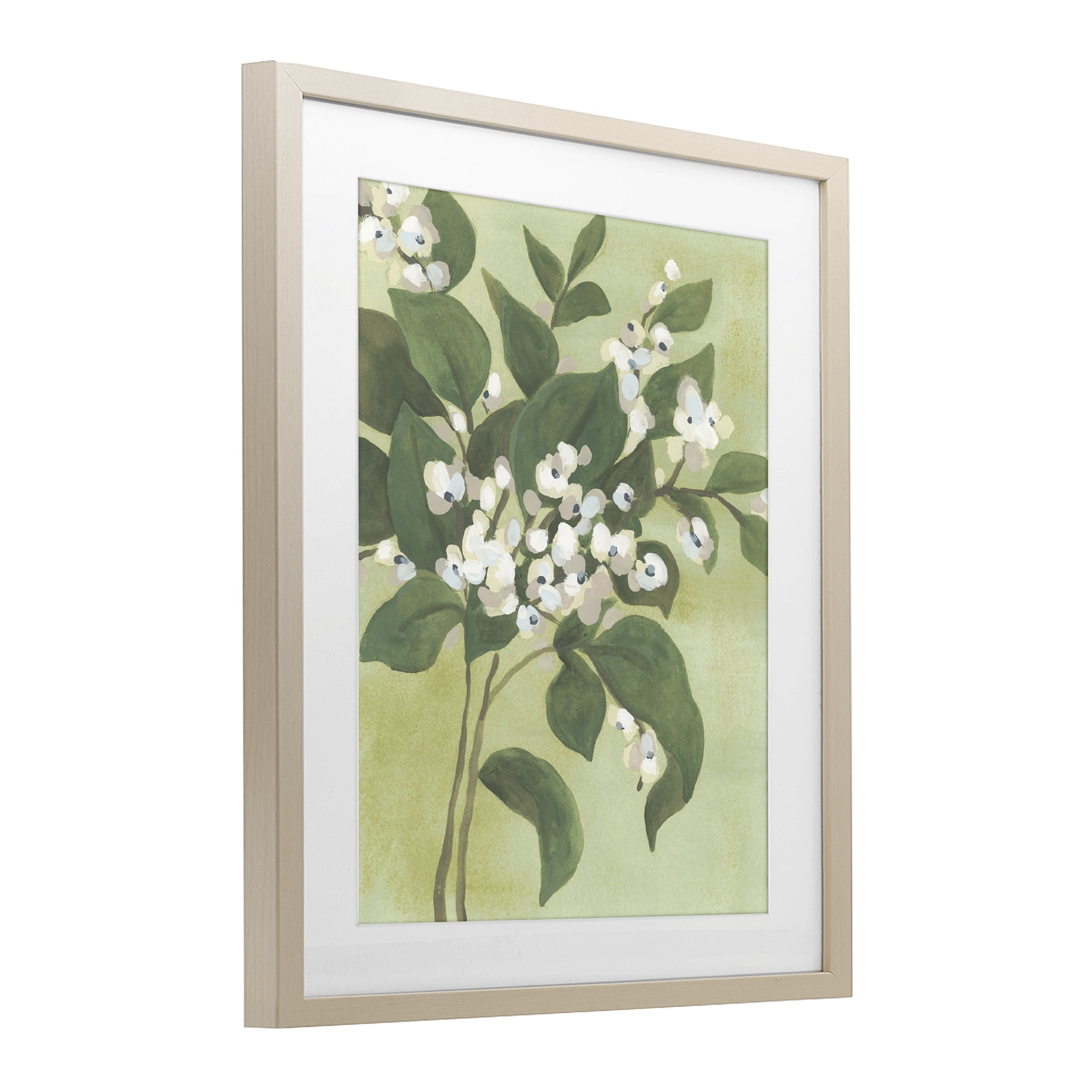 Stupell Industries Verdant Branch Blossoms Birch Framed Print Under Glass, design by June Erica Vess