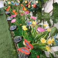 thumbnail image 4 of Long Lasting Solar Butterfly Garden Light Perfect For Outdoor Illumination, 4 of 8