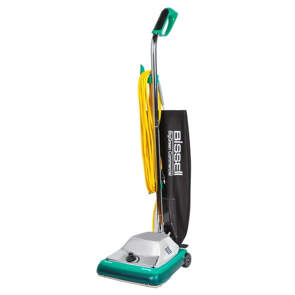 Aspiradora vertical Bissell BigGreen Commercial BG107HQS 650W