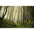 thumbnail image 3 of Krivec, Samanta 24x17 Black Modern Framed Museum Art Print Titled - Run forest run, 3 of 5