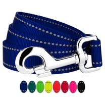 Country Brook Petz - 1 Inch Reflective Nylon Dog Leash