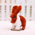 thumbnail image 4 of Bunny Toys Educational Interactive Walking Toy Size 8x6x4 Inches (Brown), 4 of 4