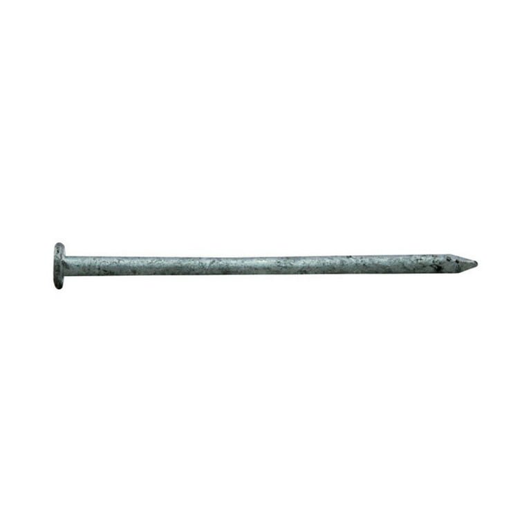 Pro-Fit 4 1-1/2 in. Common Hot-Dipped Galvanized Steel Nail 1 lb Pro-Fit 4 1-1/2 in. Common Hot-Dipped Galvanized Steel Nail 1 lb