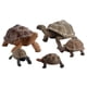 thumbnail image 1 of Simulación Tortuga Juguetes Modelo Figuras de Acción Cognición Juguetes Educativos Tortuga Estatuilla, 1 of 8