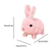 thumbnail image 2 of Juguete de peluche de Pascua para niños, juguete eléctrico de conejito saltador con zanahoria para regalo, 2 of 9