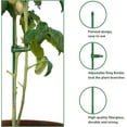 thumbnail image 3 of FiberglassSupport Stakes for Roses, Orchids & Climbing Vines | 16" or 18" Anti-Falling Garden Stakes with Rings | Set of 6 or 12 | Adjustable Flower Support Poles for Potted, 3 of 7