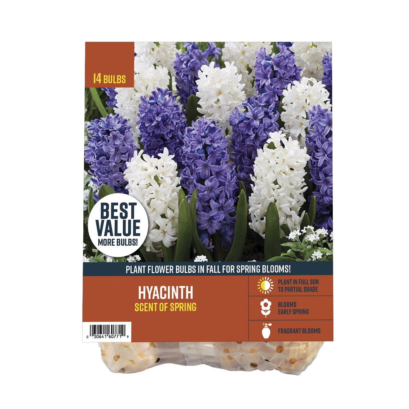 Van Zyverden Tiger Lilies Value Blend Set of 18 Bulbs