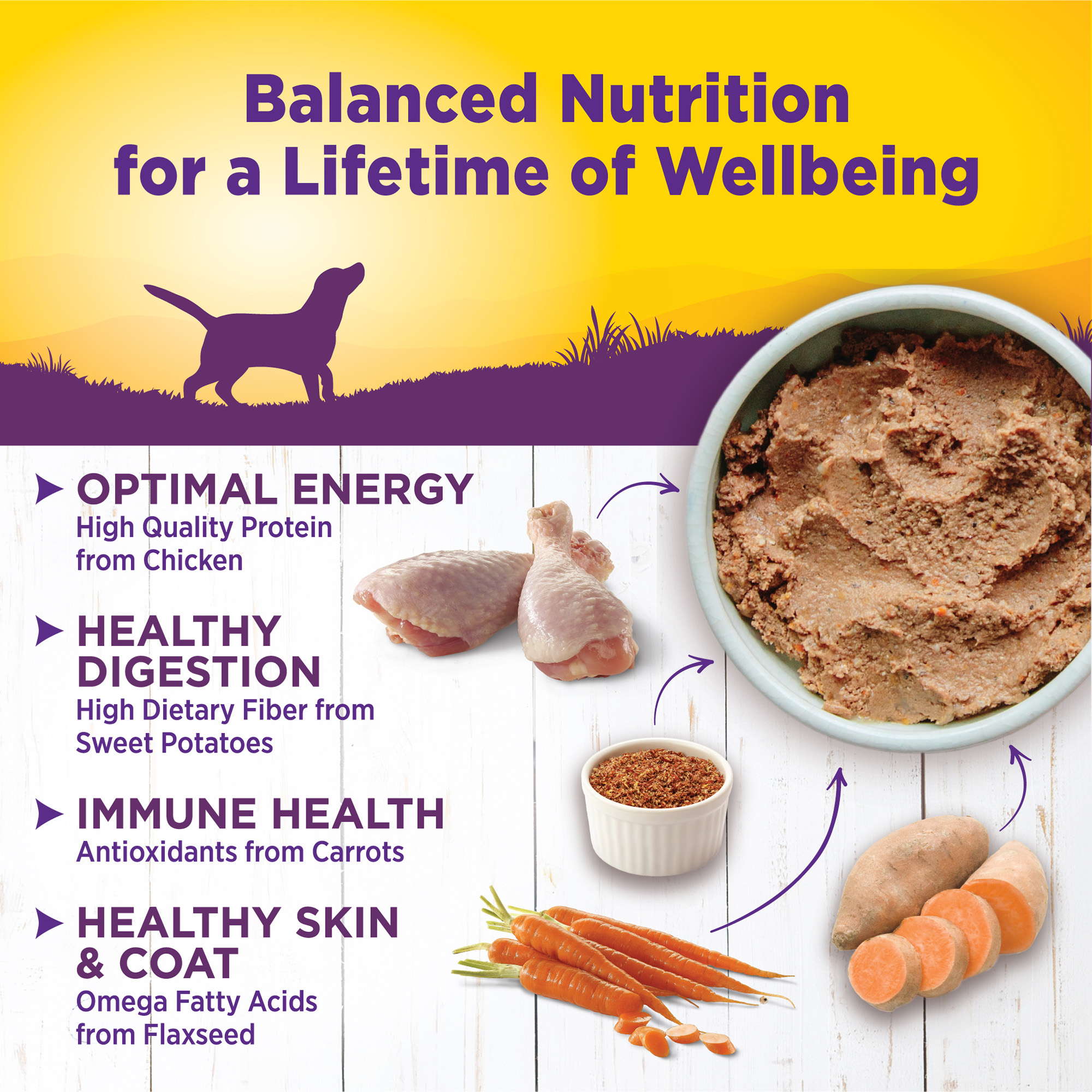 Wellness Complete Health Natural Wet Canned Dog Food, Chicken & Sweet Potato, 12.5-Ounce Can (Pack of 12) - image 4 of 7