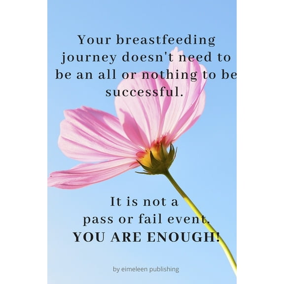 My breastfeeding journey (Paperback)