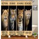 thumbnail image 3 of Juego de 4 cortinas de ducha con diseño de león, pareja de leones, azul real, rosa, flores, vida salvaje africana, safari, decoración de baño, cortina de ducha de tela impermeable, alfombra de baño, 3 of 7