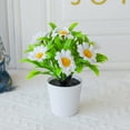 thumbnail image 4 of Ltdhehe Bonsai Desk Arrangement Home Centerpiece Wedding, 4 of 5