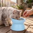 thumbnail image 4 of Elevated Tilted Cat Dog Bowl Raised Pet Feeding Bowl Neck Relief Anti Slip Base for Cats Small Dogs Whisker Friendly Indoor Food Water Dish, 4 of 7