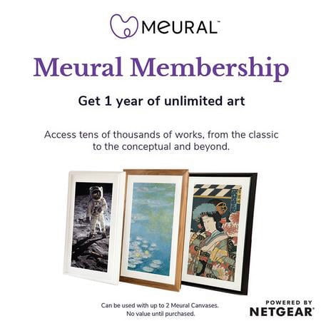 Netgear Annual Membership Card