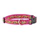 thumbnail image 1 of Collar para perro con cinta jacquard Bones Galore (liquidación) - Pequeño, 1 of 1