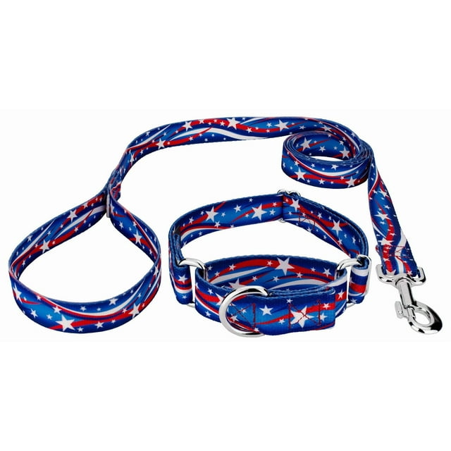 Country Brook Petz - Star Spangled Martingale Dog Collar and Leash - Americana Collection Featuring Patriotic Designs Limited Edition (1 Inch, Medium)