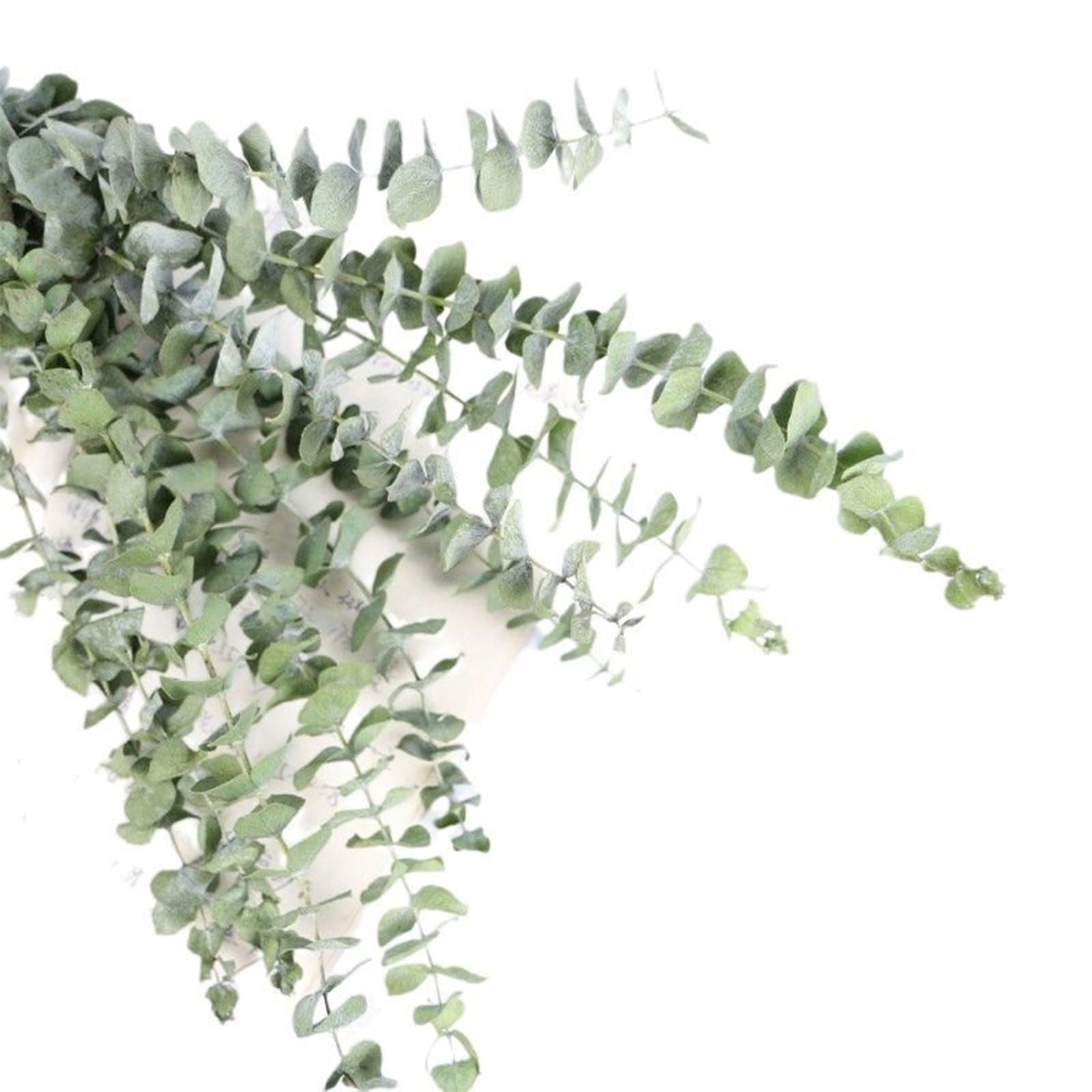 Xoxingysm Artificial Flowers Leaves Leaves Art Leaves Home Decoration Dried Flowers, Olive Leaves *1 Bunch