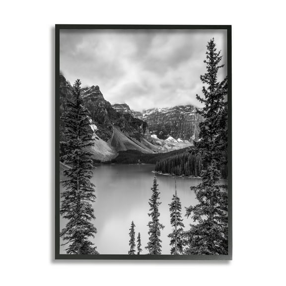 Stupell Industries Woodland Pond Scenery Landscape Photography Black Framed Art Print Wall Art, 11 x 14