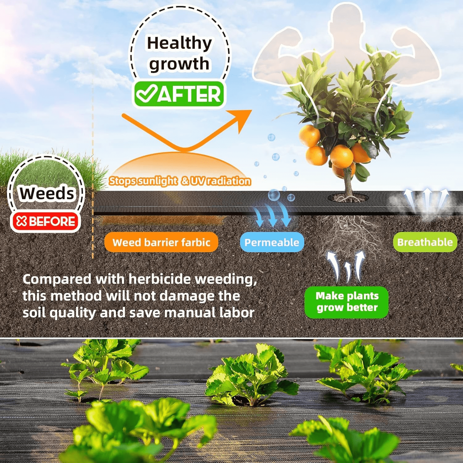 3FT x 100FT Weed Barrier Landscape Fabric, 3.2oz Premium Heavy Duty Garden Cloth, Ground Cover for Gardening, Farming with 30 U-Shaped Securing Pegs