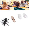 thumbnail image 3 of Growth Model Toy,Educational Life Cycle Figurines For Education School Projects, 3 of 8