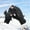 d-Black, variant on TIANZEN All Season Thermal Touchscreen For And Windproof Skiing Hiking Outdoor Activities With Insulated Warmth And Grip Women Gloves Gloves Mittens Women