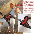 thumbnail image 4 of rabbitgoo Dog Harness  No-Pull Pet Harness with 2 Leash Clips  Adjustable Soft Padded Dog Vest  Reflective No-Choke Pet Oxford Vest with Easy Control Handle for Large Dogs  Teal  L, 4 of 9
