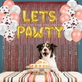 thumbnail image 3 of Fringe Curtain Decorative Door Fringe Party Decoration for Pets' Birthday, 3 of 10