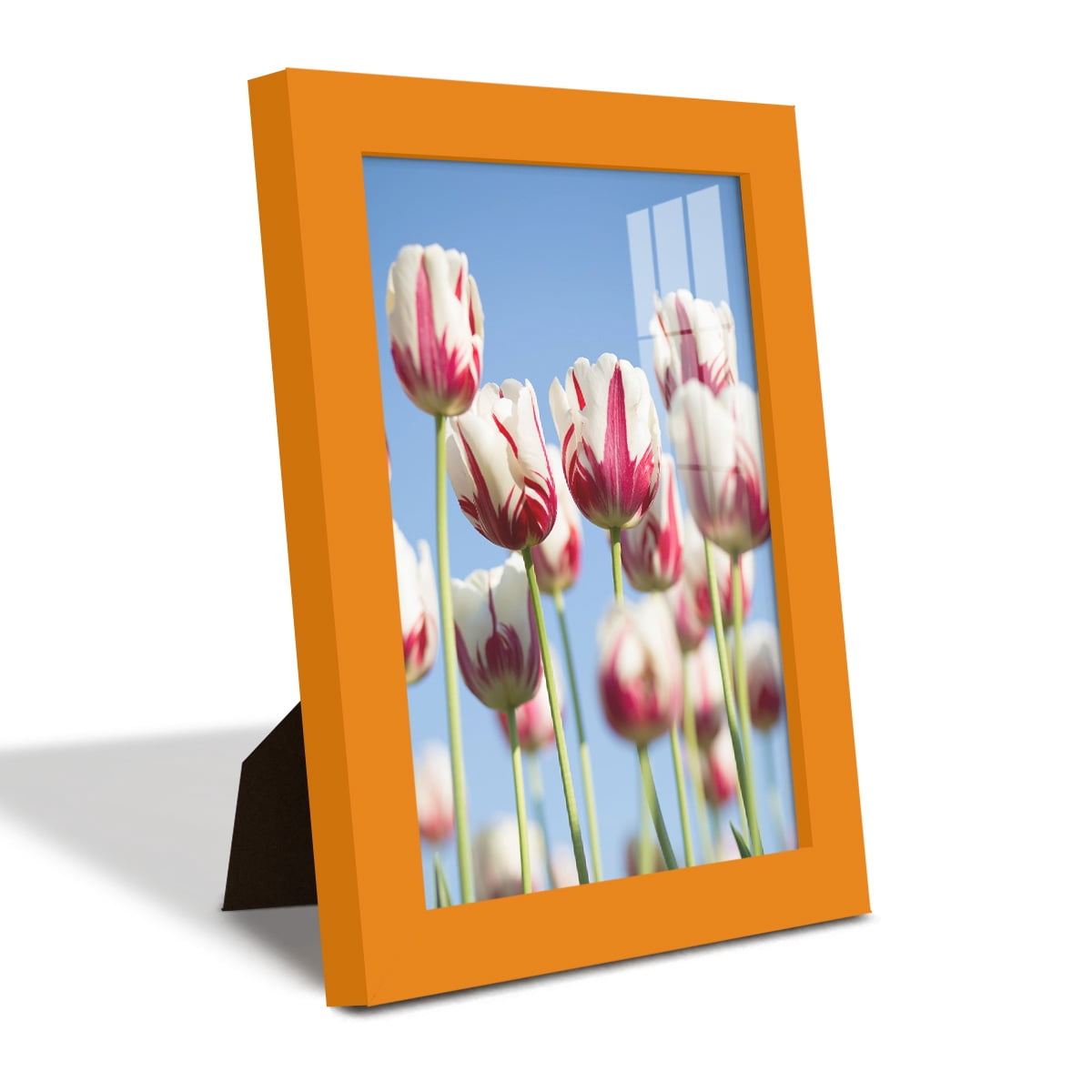Modern 6 in. x 8 in. Orange Picture Frame (Set of 4)