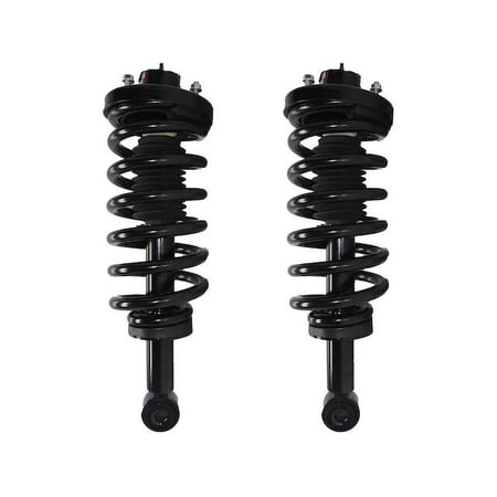 Rear Strut Assembly Set - Compatible with 2003 - 2006 Ford Expedition 2004 2005