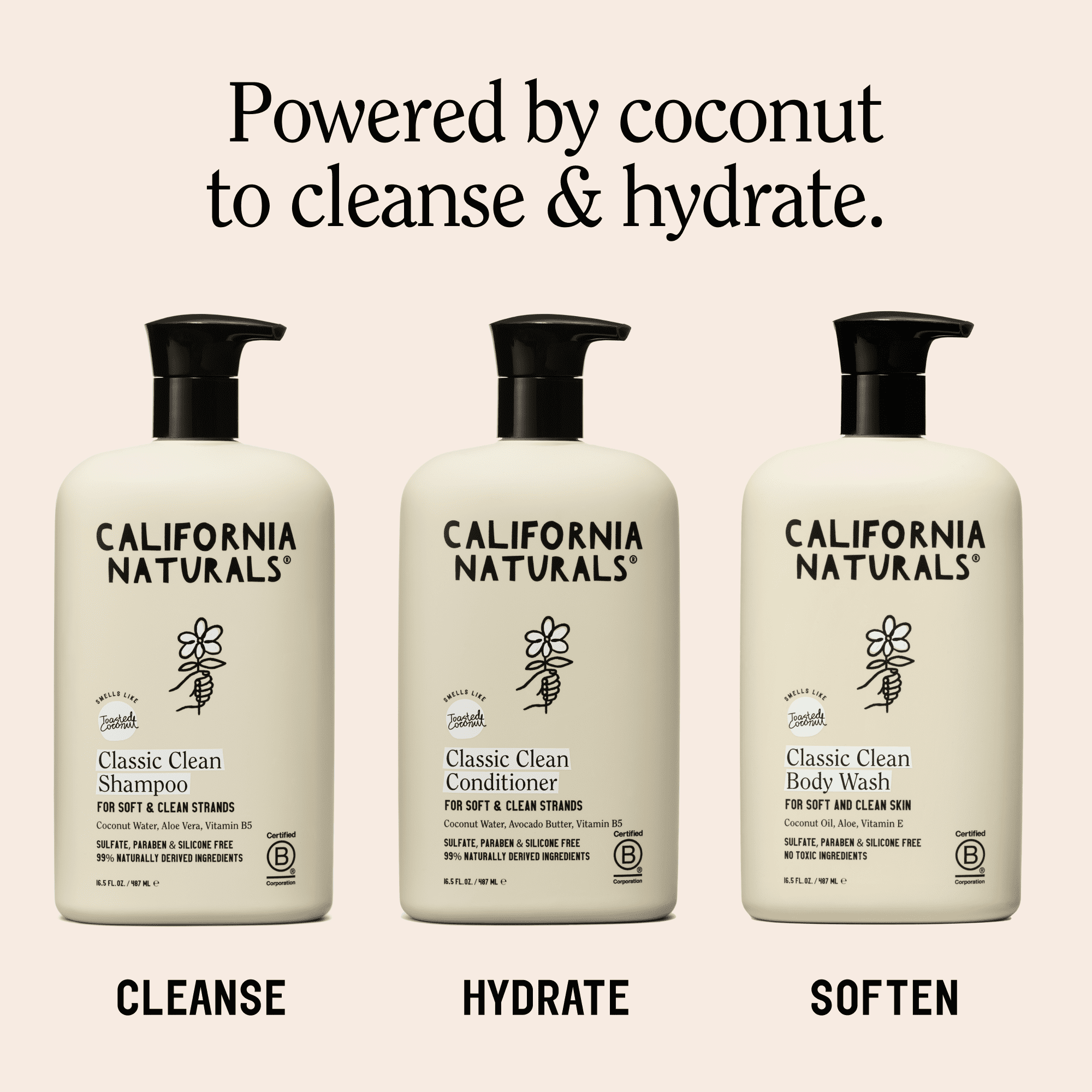California Naturals Classic Clean Shampoo, Toasted Coconut, 16.5 fl oz