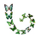 thumbnail image 3 of Wosthever 12 Uds. Pegatinas de pared de mariposas 3D, calcomanías de diseño artístico de doble cubierta, decoración de habitación DIY Decoración del hogar 11, 3 of 5